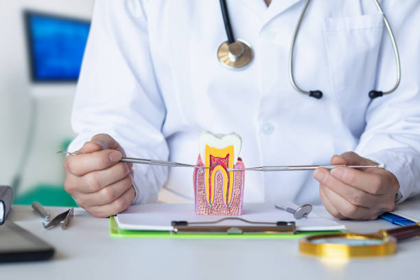 Best Urgent Dental Care for Toothache in Ellettsville, IN
